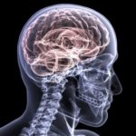 How a Brain Injury Tells The Body it is Hurt